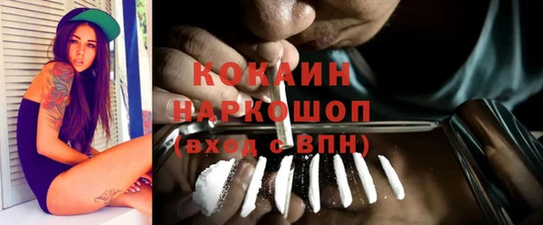 гашик Арсеньев