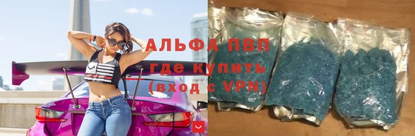 гашик Арсеньев
