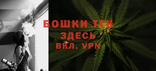 гашик Арсеньев