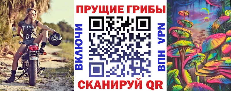 что такое   Белогорск  Галлюциногенные грибы GOLDEN TEACHER 